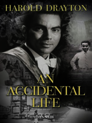 cover image of An Accidental Life